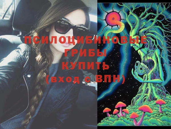дурь Бронницы