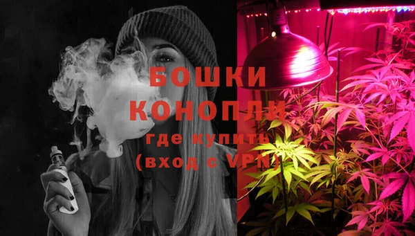 дурь Бронницы